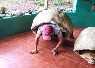  Fausto's inner tortoise