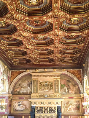 The ceiling of the ballroom, designed by Philibert Delorme