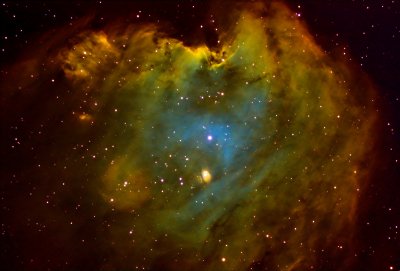 NGC2175-The Monkey Head Nebula