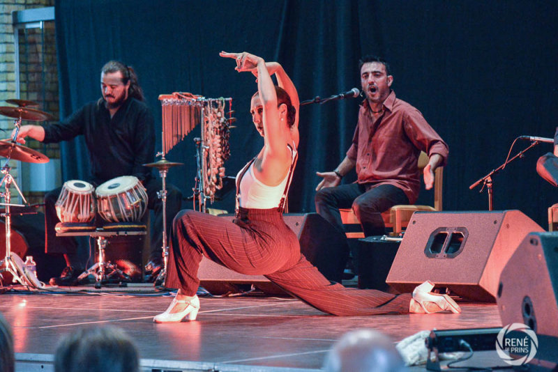 Dumont straatfeesten 2015