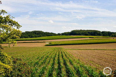 RDP_4226.jpg