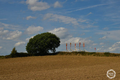 RDP_4237.jpg