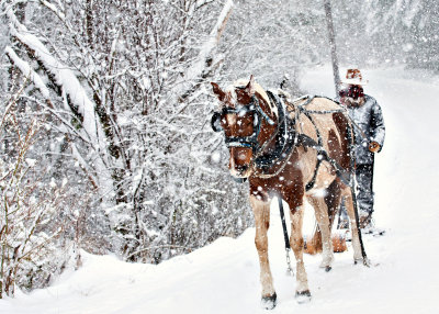 winter_wonderland_2014