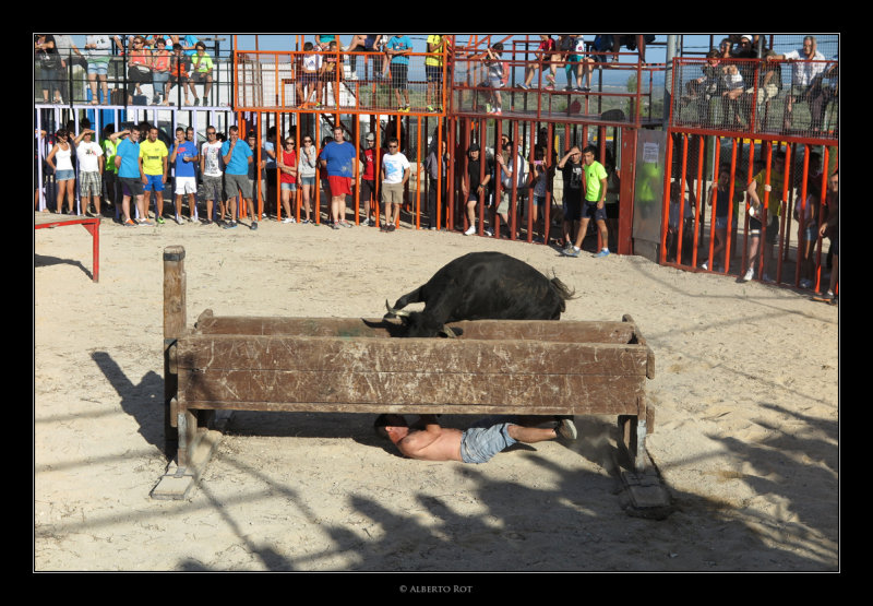 Tardes de bous  13/08/2014