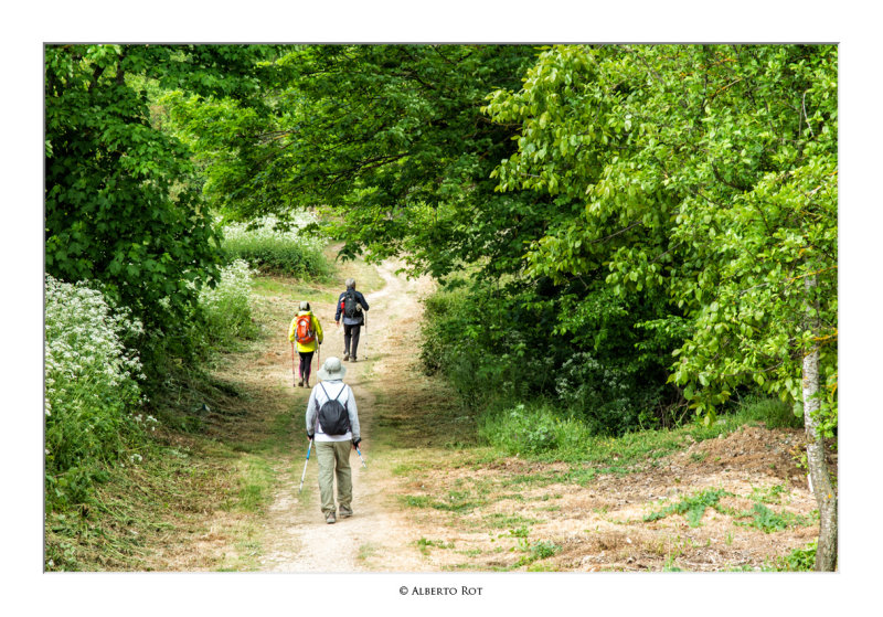 Llegando a Villafranca de Montes de Oca