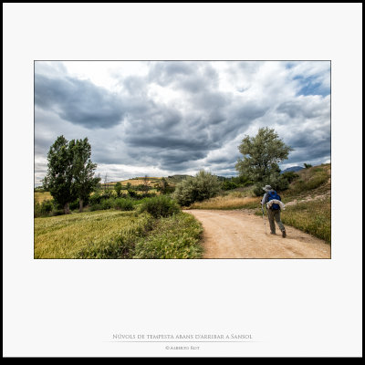 Etapa 5 · Estella-Torres del Río