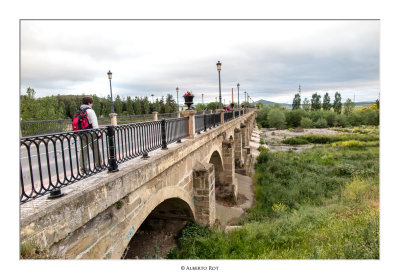Puente sobre el rio Oja. Santo Domingo de la Calzada