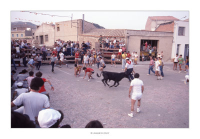 Rossell - Festes Majors 1984 · Tarde de bous