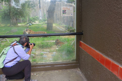 Superb Zoo Photographer May Woon at work. #2732