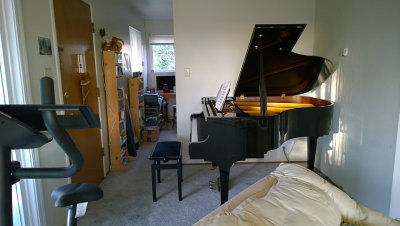 The Ritmuller GH-160R baby grand piano - 5' 3 (cellphone pics)