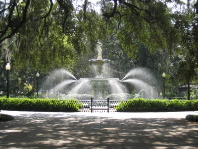 Savannah1.jpg