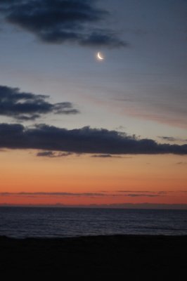 DSC_0009.JPG