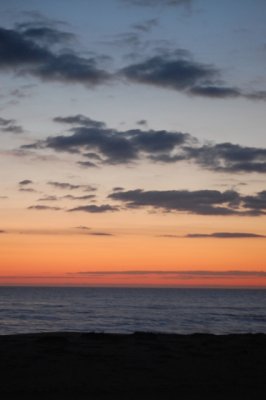 DSC_0010.JPG