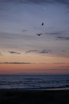 DSC_0017.JPG