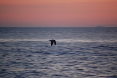 DSC_0018.JPG