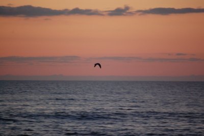 DSC_0020.JPG
