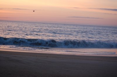 DSC_0032.JPG