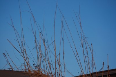 DSC_0051.JPG