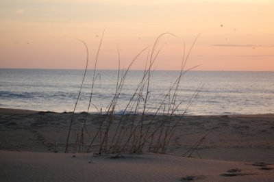 DSC_0054.JPG