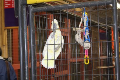 IMG_2757.jpg
