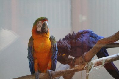 IMG_2765.jpg