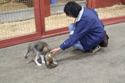 Maria and Puppy