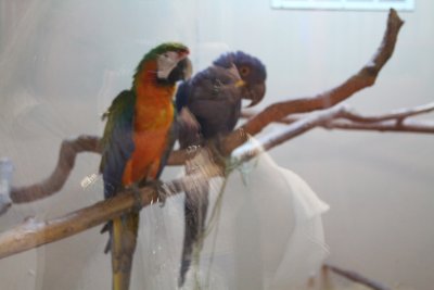 IMG_2772.jpg