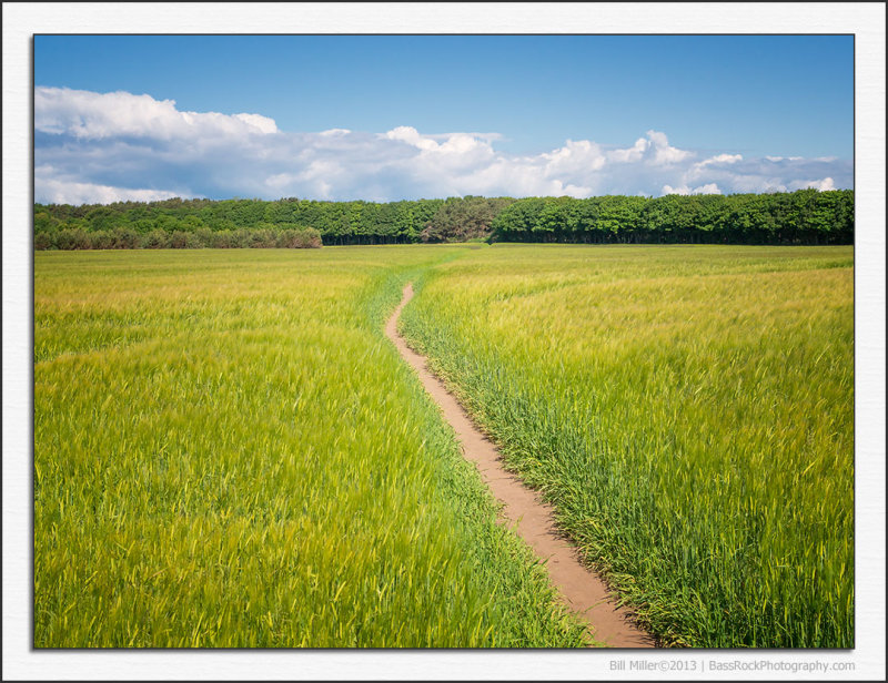 Cycling Through the Wheat