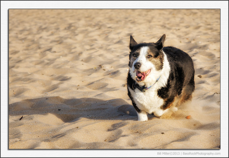 Kicking up the Sand