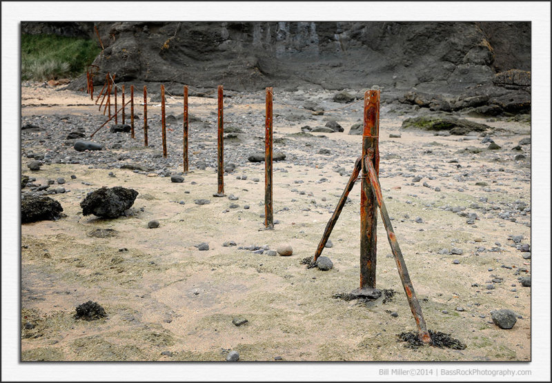 Fenced