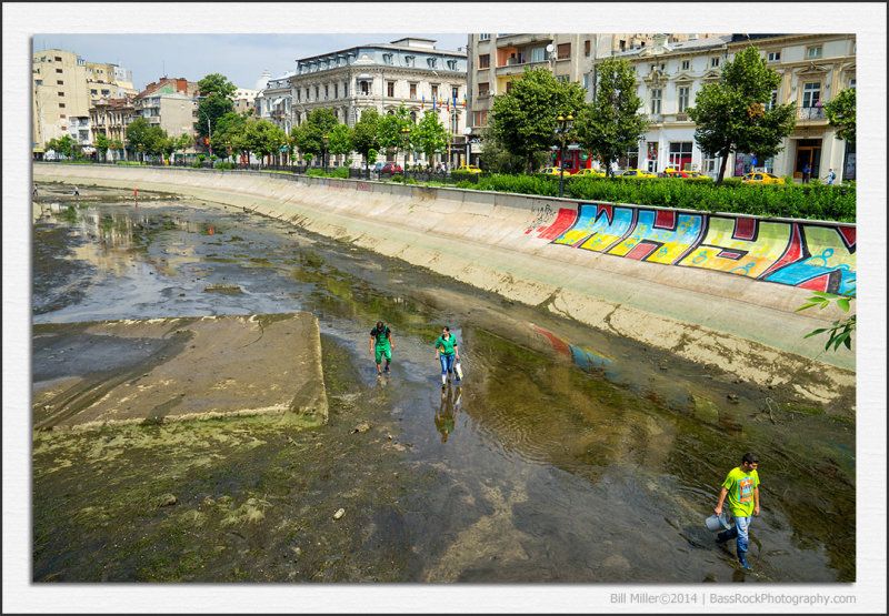 Dmbovița River