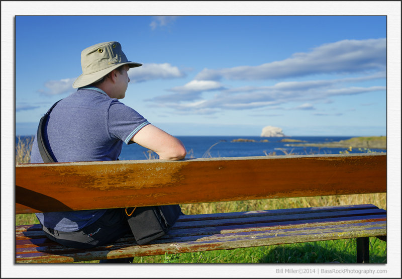 Contemplative SP