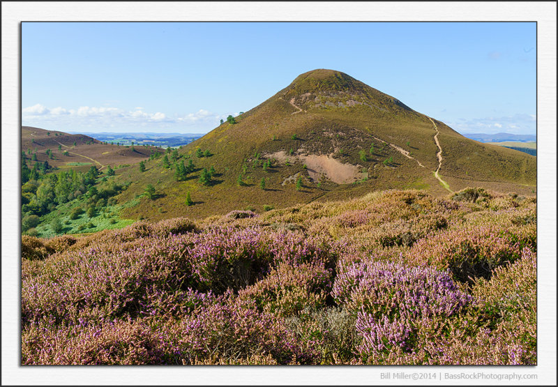 Hills and Heather