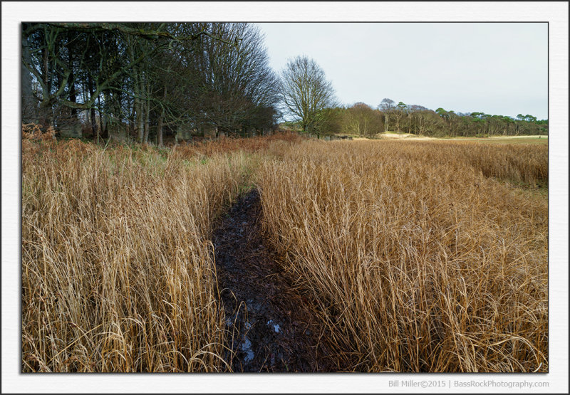 Satisfyingly Muddy