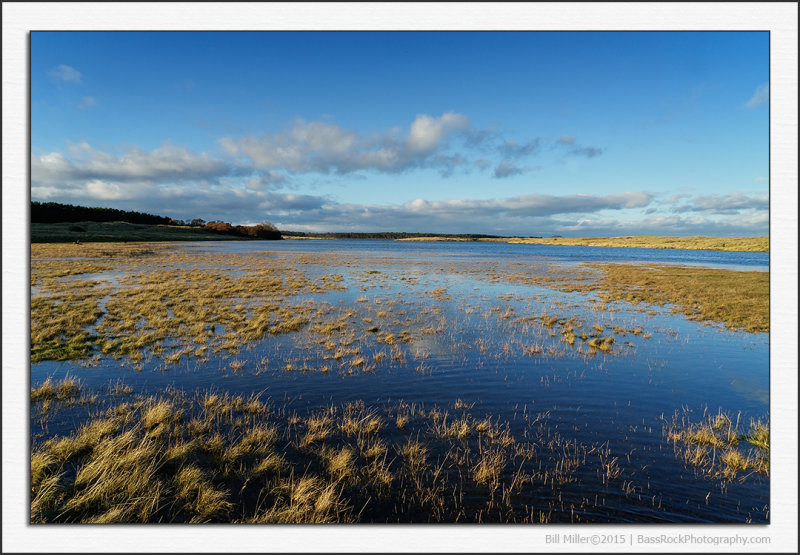 High Tide