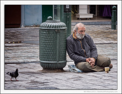 Man and Pigeon