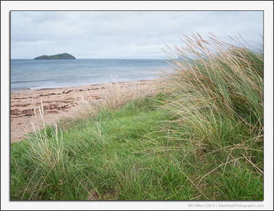 Craigleith Island