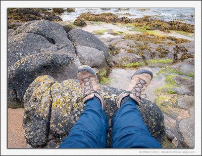 Rock Pools and Feet