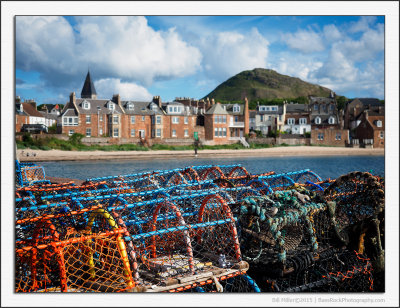 Lobster Pots and the Town