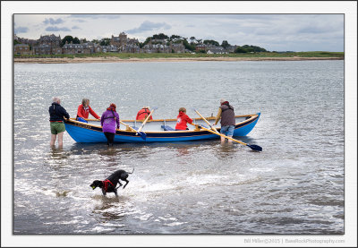 Sea Dog