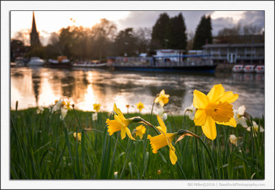 Glowing Yellow