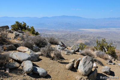 223 Joshua Tree NP.jpg