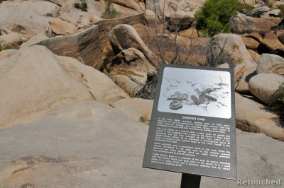 226 Joshua Tree NP.jpg