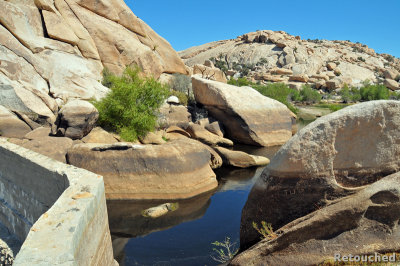 227 Joshua Tree NP.jpg