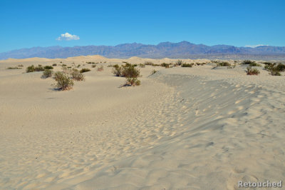 266 Death Valley NP.jpg
