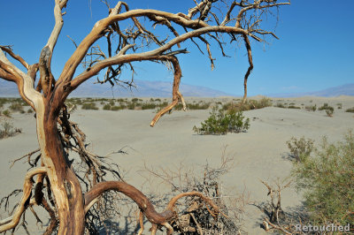 267 Death Valley NP.jpg
