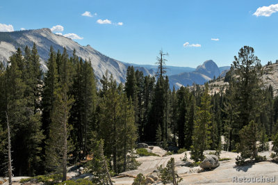 320 Yosemite NP.jpg