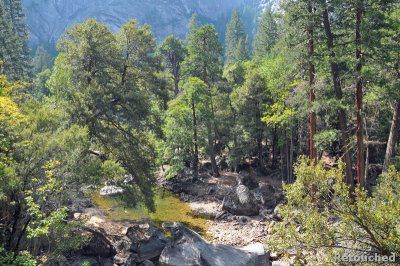 331 Yosemite NP.jpg