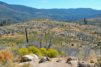 337 Yosemite NP.jpg