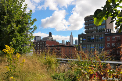 393 New York City.jpg
